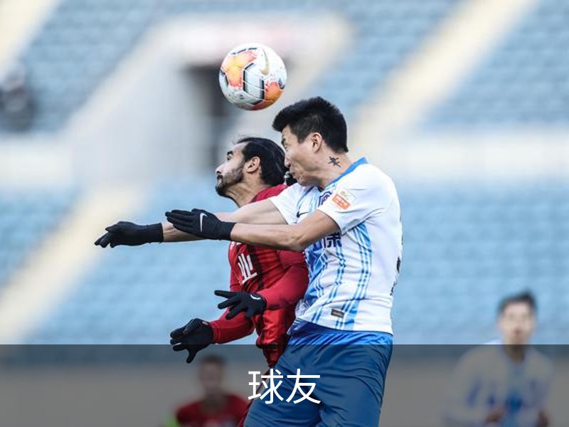 球友简介